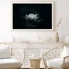 White Flower Is Sitting on A Black Surface Home Decor Premium Quality Poster Print Choose Your Sizes