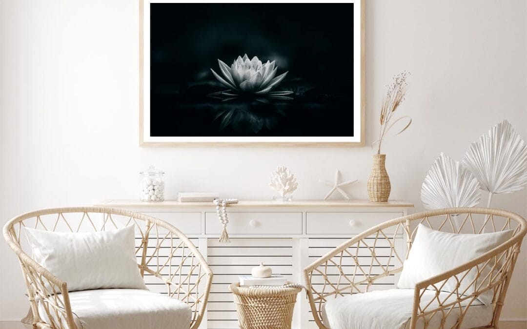White Flower Is Sitting on A Black Surface Home Decor Premium Quality Poster Print Choose Your Sizes