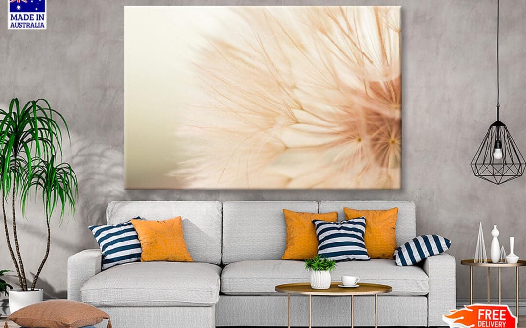 Close Up of a Dandelion with A Blurry Wall Art Decor 100% Australian Made