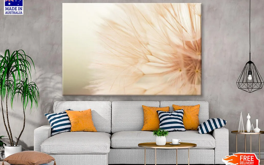 Close Up of a Dandelion with A Blurry Wall Art Decor 100% Australian Made