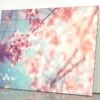 Close-Up Of Beautiful Vintage Sakura Tree Flower Acrylic Glass Print Tempered Glass Wall Art 100% Made in Australia Ready to Hang