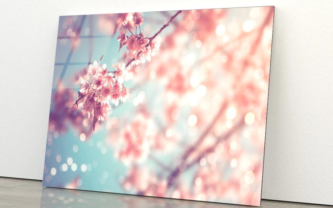 Close-Up Of Beautiful Vintage Sakura Tree Flower Acrylic Glass Print Tempered Glass Wall Art 100% Made in Australia Ready to Hang