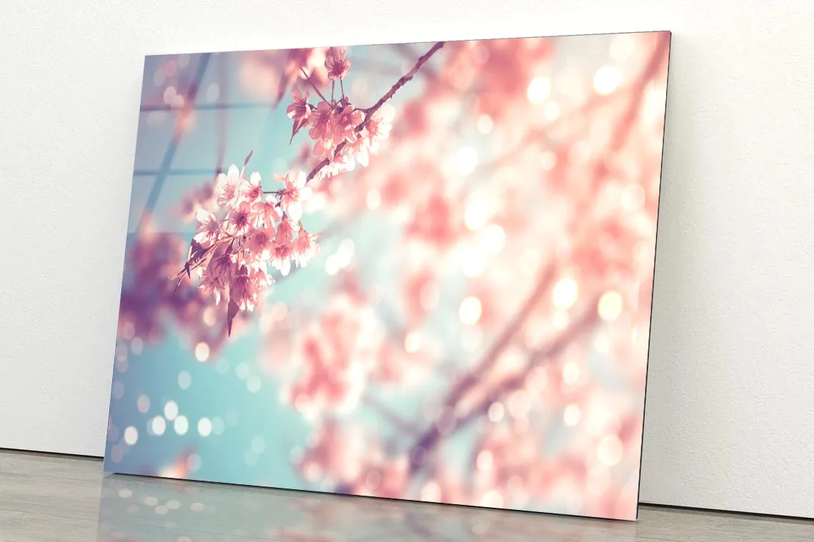 Close-Up Of Beautiful Vintage Sakura Tree Flower Acrylic Glass Print Tempered Glass Wall Art 100% Made in Australia Ready to Hang