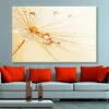 Dandelion With Water Droplets Wall Art Decor 100% Australian Made