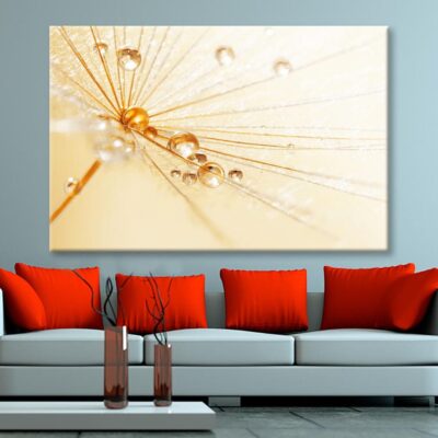 Dandelion With Water Droplets Wall Art Decor 100% Australian Made