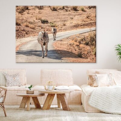 Zebras Walking On Road Photograph Print 100% Australian Made