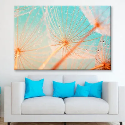 Dandelion Seed with Water Drops Wall Art Decor 100% Australian Made