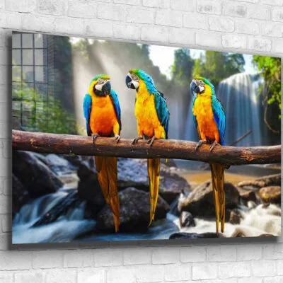 Macaw Birds on Branch Print Tempered Glass Wall Art 100% Made in Australia Ready to Hang