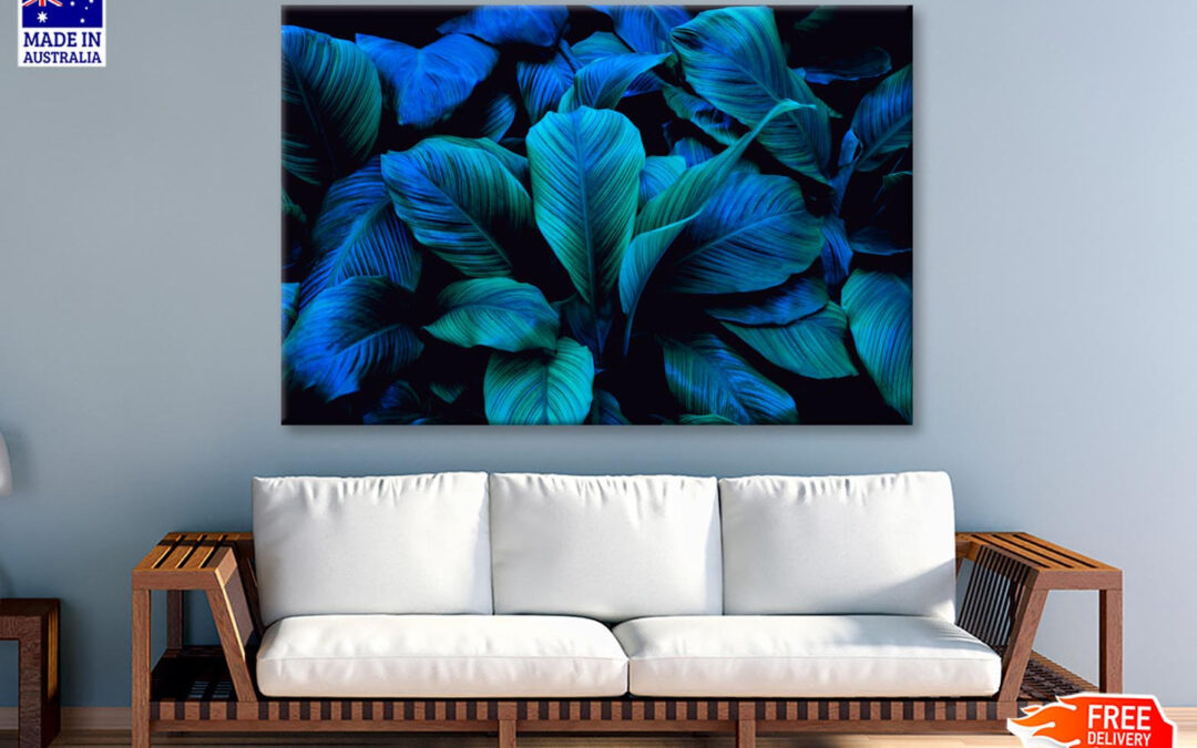 Leaves Of Spathiphyllum Cannifolium Wall Art Decor 100% Australian Made