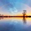 Tree on Lake Rainbow Sky Sunrise Photograph Home Decor Premium Quality Poster Print Choose Your Sizes - Image 3