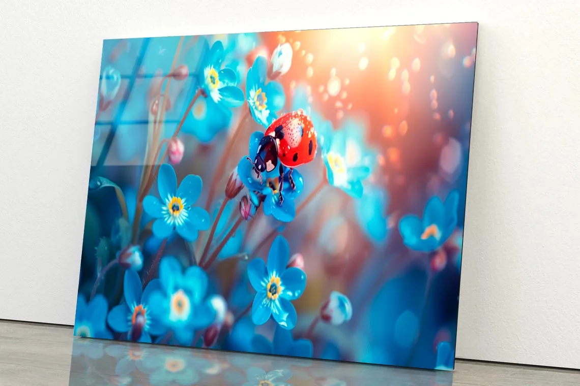 Ladybug Perched on A Vibrant Flower Acrylic Glass Print Tempered Glass Wall Art 100% Made in Australia Ready to Hang