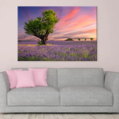 Lavender Field At Sunset Valensole Print 100% Australian Made