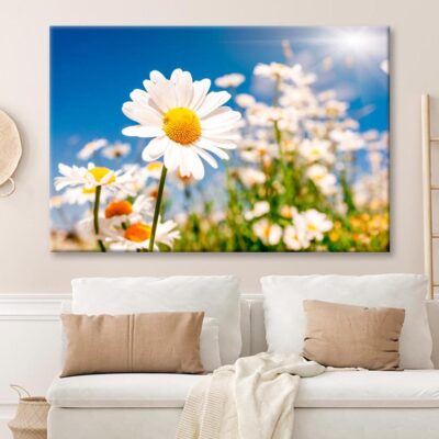 Summer Field With White Daisies on Blue Sky Wall Art Decor 100% Australian Made