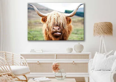 Bella Home Highland Cow Face Closeup Print Canvas Ready to hang
