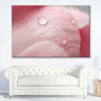 Pink Flower With Water Drops Wall Art Decor 100% Australian Made