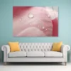 Pink Flower With Water Drops Acrylic Glass Print Tempered Glass Wall Art 100% Made in Australia Ready to Hang - Image 2