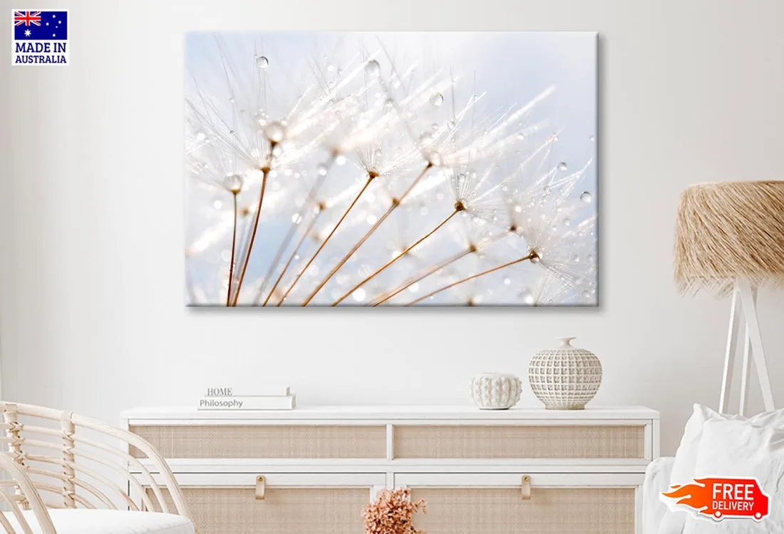 Water Droplet on Dandelion Seeds Wall Art Decor 100% Australian Made - Image 2