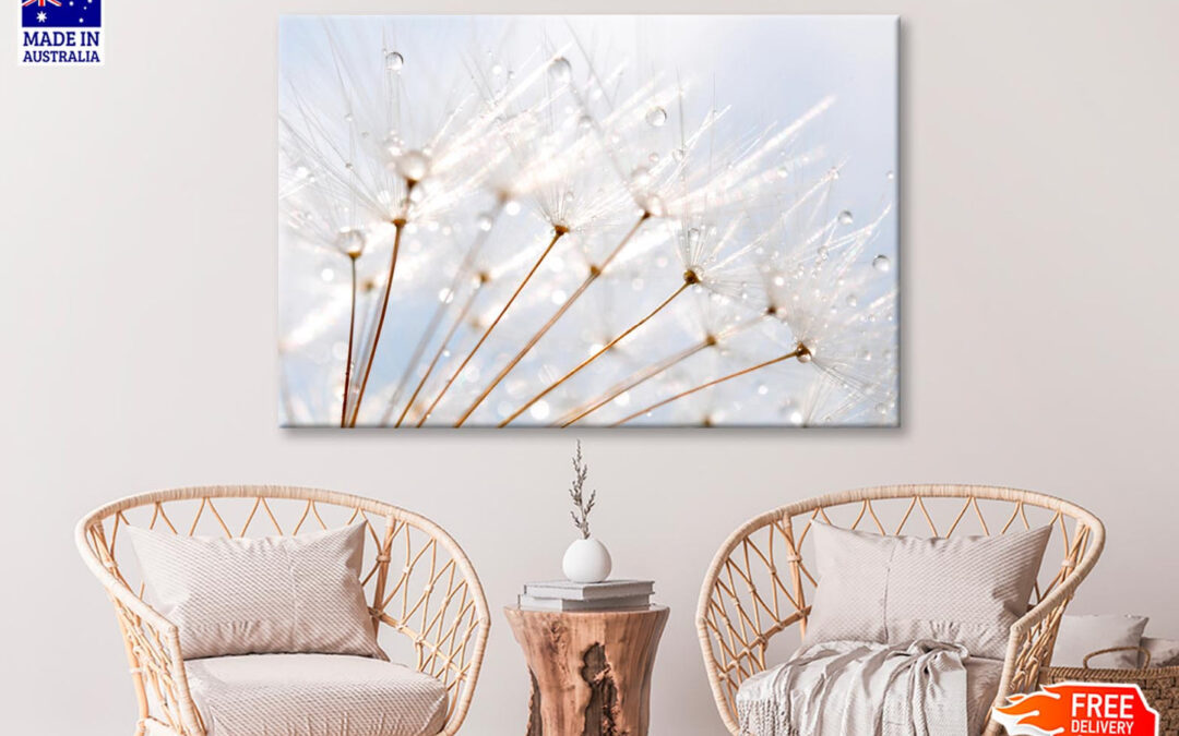 Water Droplet on Dandelion Seeds Wall Art Decor 100% Australian Made