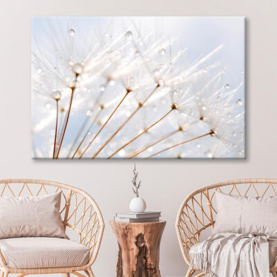 Water Droplet on Dandelion Seeds Wall Art Decor 100% Australian Made