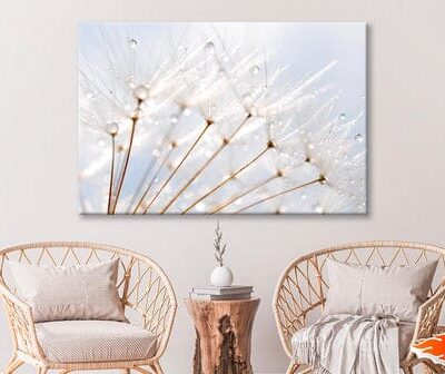 Water Droplet on Dandelion Seeds Wall Art Decor 100% Australian Made