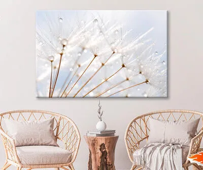 Water Droplet on Dandelion Seeds Wall Art Decor 100% Australian Made