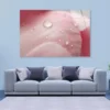 Pink Flower With Water Drops Acrylic Glass Print Tempered Glass Wall Art 100% Made in Australia Ready to Hang - Image 5