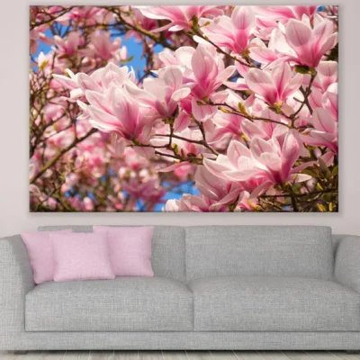 White Pink Magnolia Flowers with Branch Photograph Print 100% Australian Made
