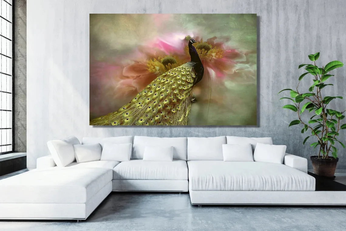 Peacock Wall Art UV Direct Aluminum Print Australian Made Quality - Image 2