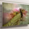 Peacock Wall Art UV Direct Aluminum Print Australian Made Quality