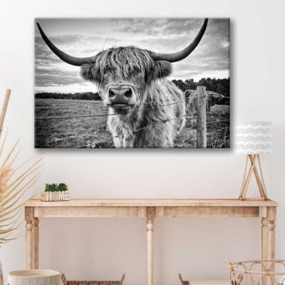Bella Home Highland Cow B&W Photograph Print Canvas Ready to hang