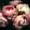 Peonies flowers Stunning Print 100% Australian Made - Image 2
