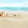 Shells on Sandy Beach View Photograph Print 100% Australian Made - Image 3