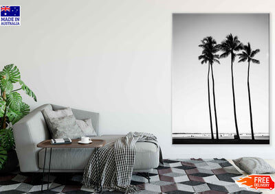Palm Trees Near Sea B&W View Print 100% Australian Made