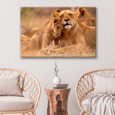 Bella Home Lioness & Cub in The Kruger Print Canvas Ready to hang