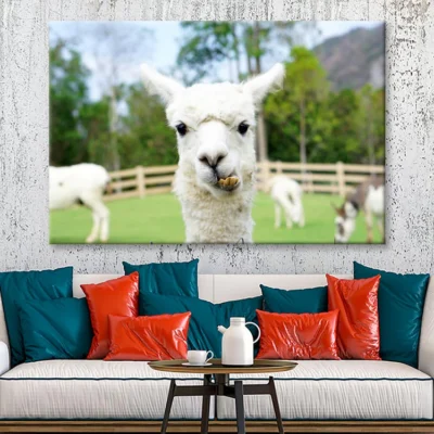 Close Up of White Alpaca Wall Art Decor 100% Australian Made