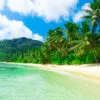 Green Trees Forest near Calm Sea View Photograph Print 100% Australian Made - Image 3