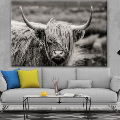 Highland Cow B&W Photograph Print 100% Australian Made