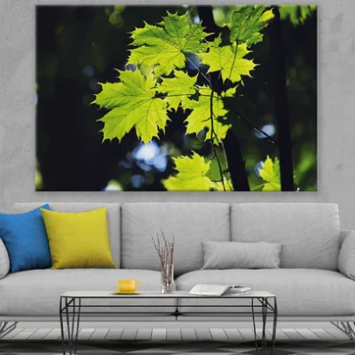 Green Maple Leaf Closeup Photograph Print 100% Australian Made