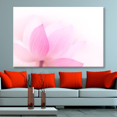 Closeup On Lotus Petal Wall Art Decor 100% Australian Made