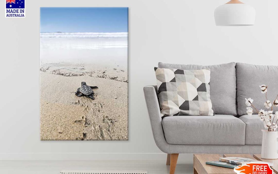 Sea Turtle on Beach Sand View Photograph Print 100% Australian Made