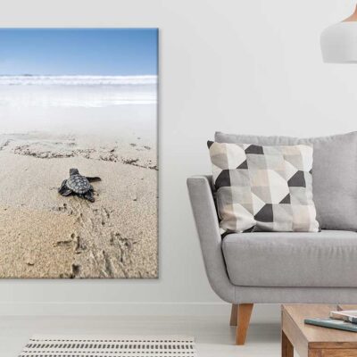 Sea Turtle on Beach Sand View Photograph Print 100% Australian Made