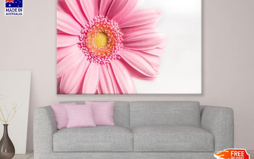 Pink Gerbera Flower Closeup Photograph Print 100% Australian Made