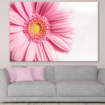 Pink Gerbera Flower Closeup Photograph Print 100% Australian Made
