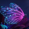 Neon Purple Butterfly Digital Art Print 100% Australian Made - Image 3