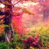 Majestic Landscape with Autumn Trees in Forest Wall Art Decor 100% Australian Made - Image 3