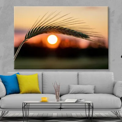 Barley Ear On a Background of a Disk of The Setting Sun Wall Art Decor 100% Australian Made