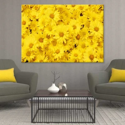 Yellow Daisy Flowers Photograph Print 100% Australian Made