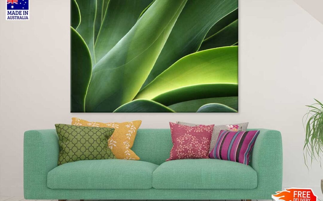 Green Leaf Closeup View Photograph Print 100% Australian Made