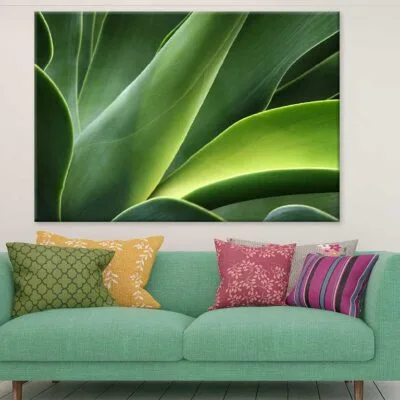 Green Leaf Closeup View Photograph Print 100% Australian Made