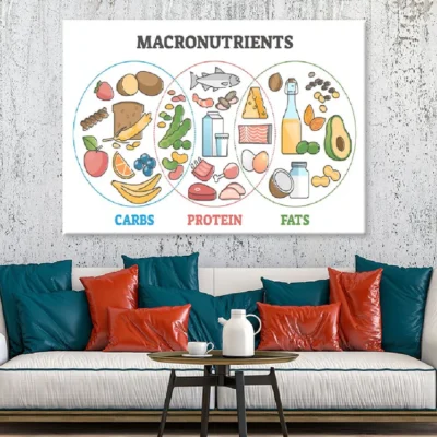Macronutrients Diet Food Chart Vector Art Print 100% Australian Made
